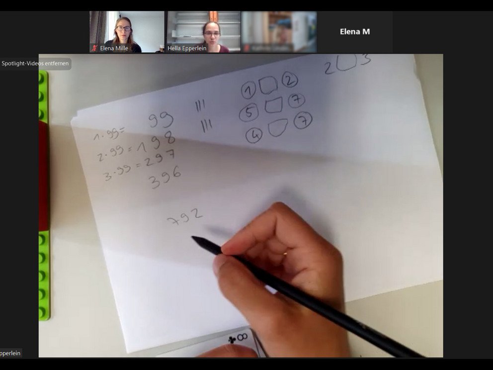 Eindrücke vom "Passauer Online-MINTwoch" vom 28. Juli 2021