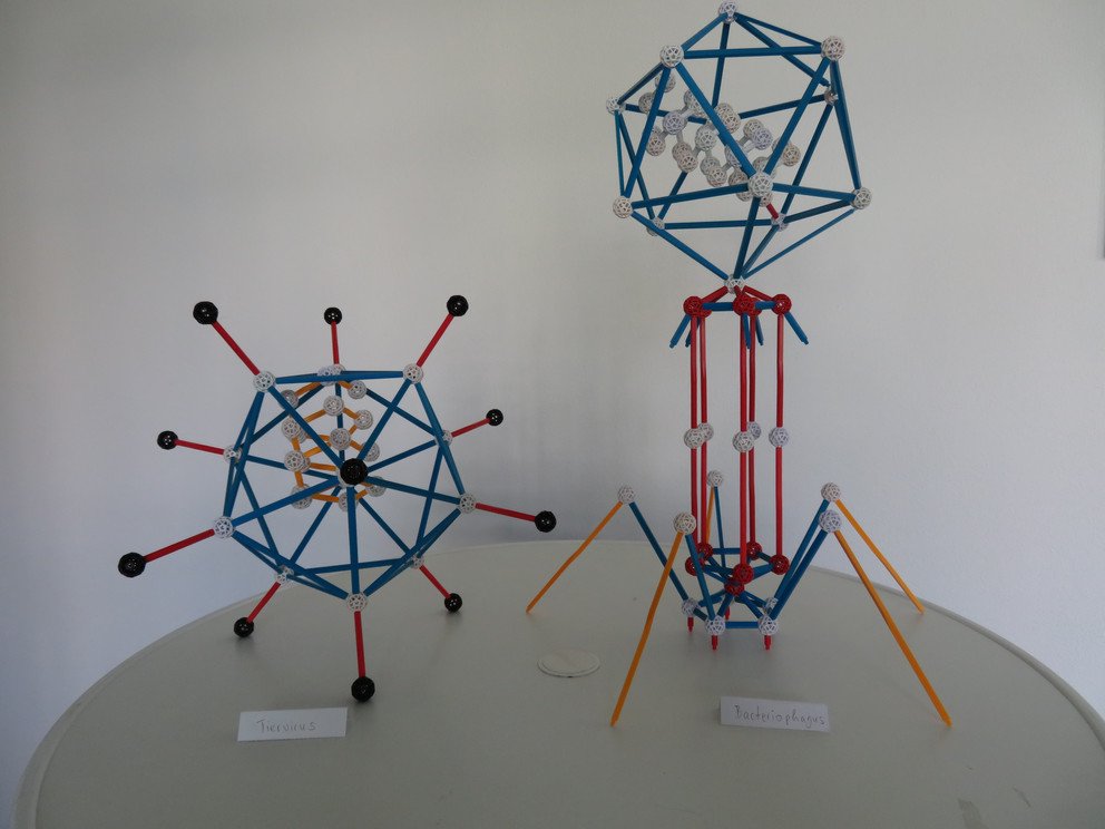 Workshop Wir bauen Moleküle